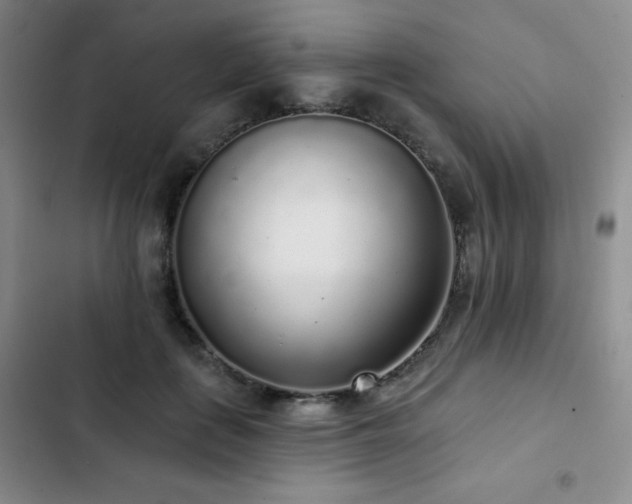 X0000103150651200808221332