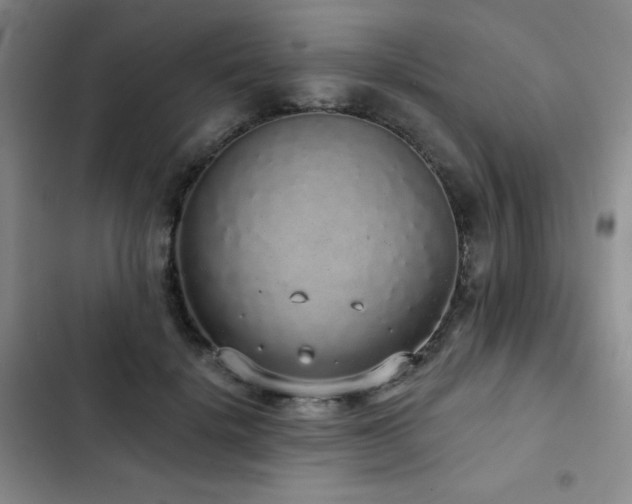 X0000103150652200808221332