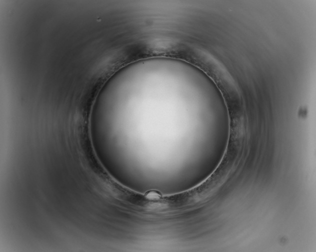 X0000103150653200808221332