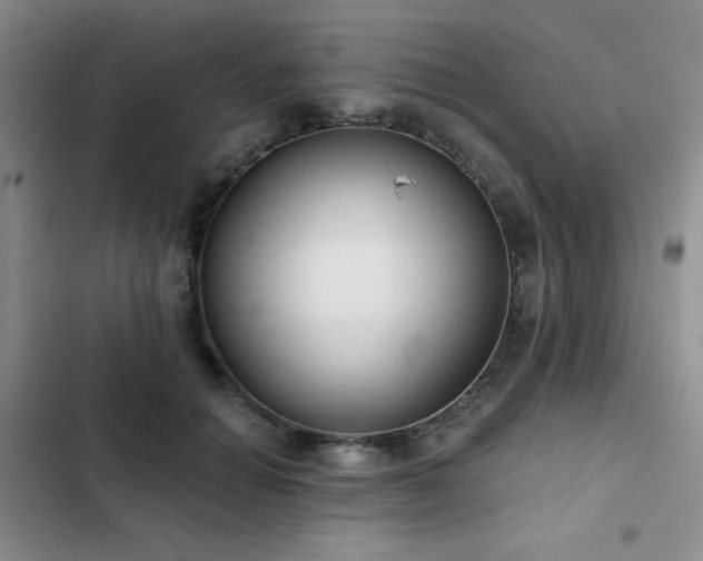 X0000103150654200808221332