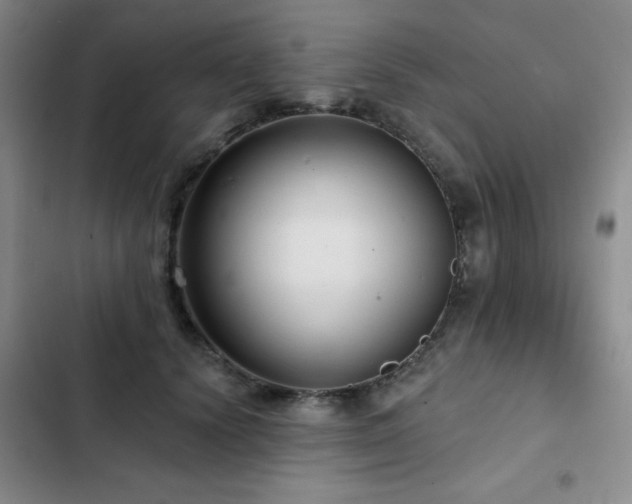 X0000103150656200808221332