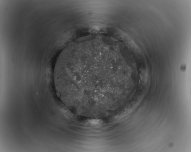 X0000103150659200808221332