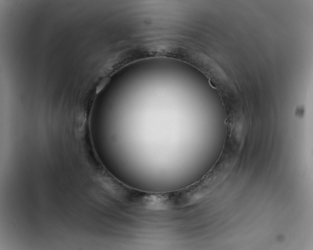 X0000103150660200808221332