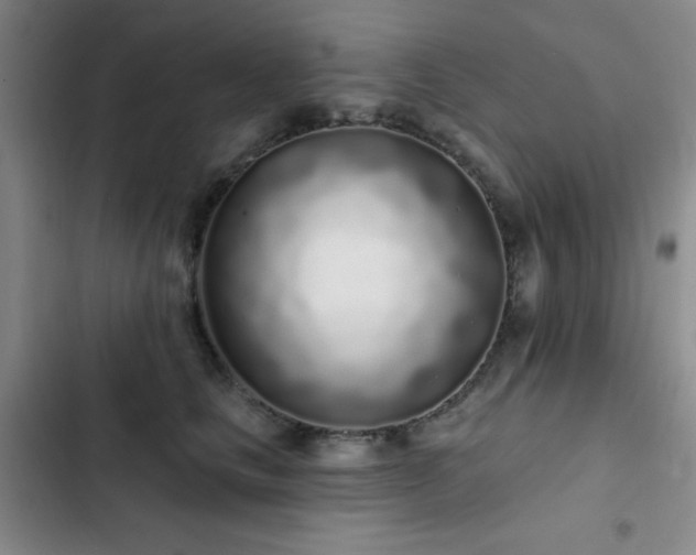 X0000103150661200808221332