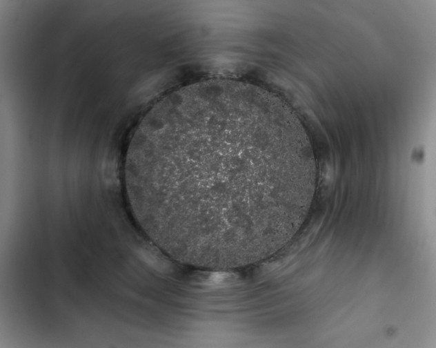 X0000103150663200808221332