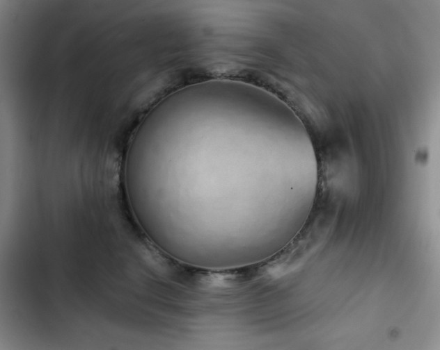 X0000103150664200808221332