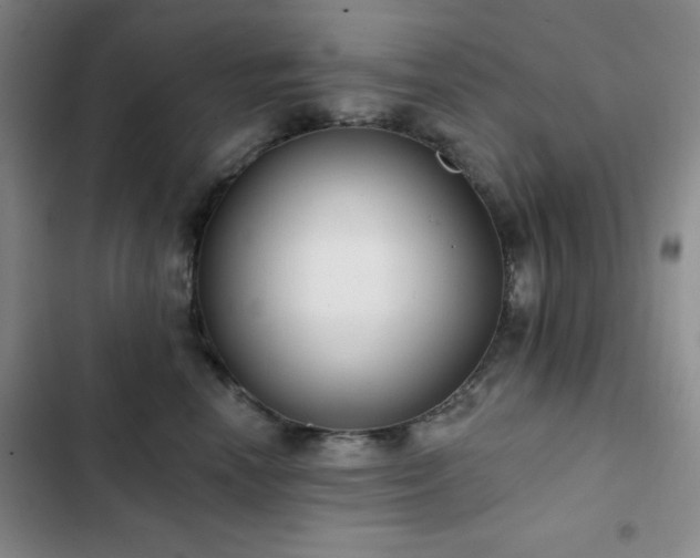 X0000103150666200808221332