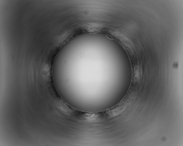 X0000103150667200808221332