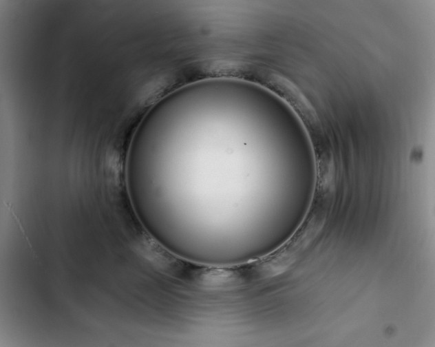 X0000103150669200808221332