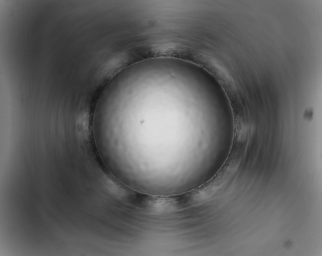 X0000103150670200808221332