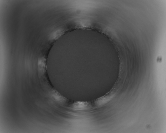 X0000103150672200808221332