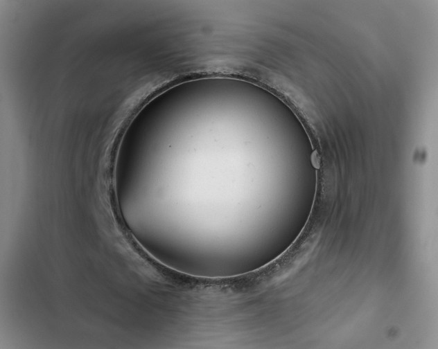 X0000103150673200808221331