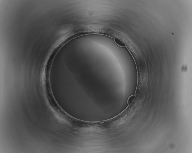 X0000103150674200808221331