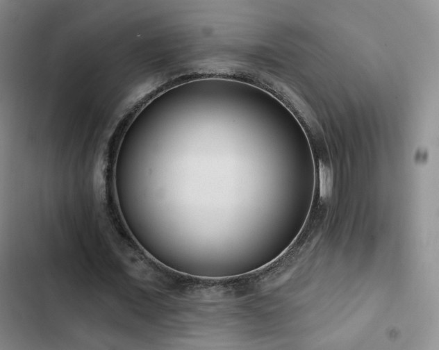 X0000103150675200808221331