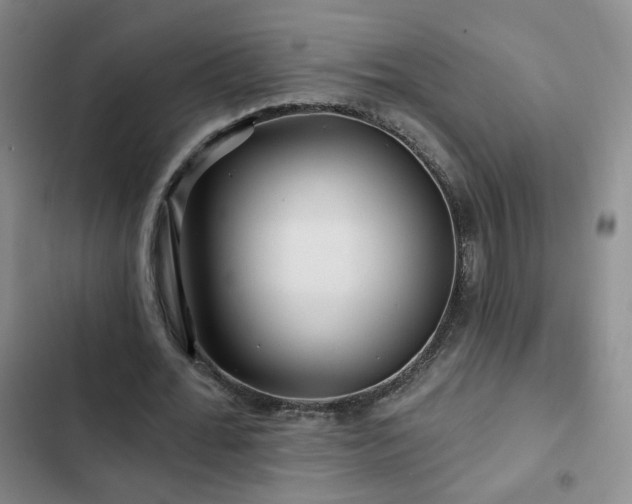 X0000103150676200808221331