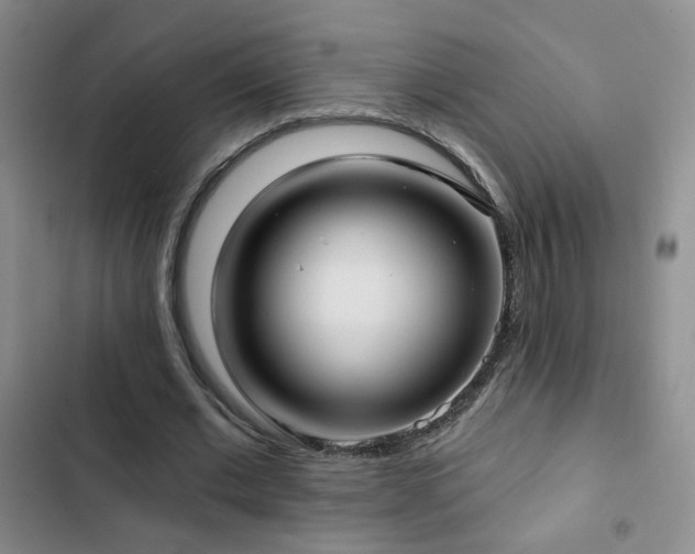 X0000103150677200808221331