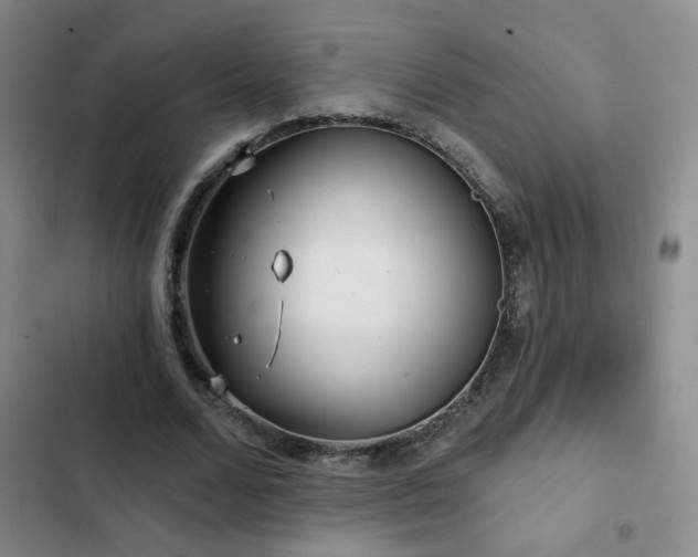 X0000103150680200808221331