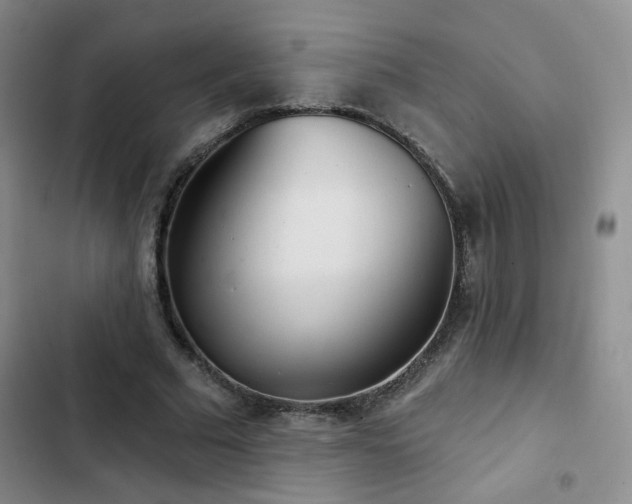 X0000103150681200808221331