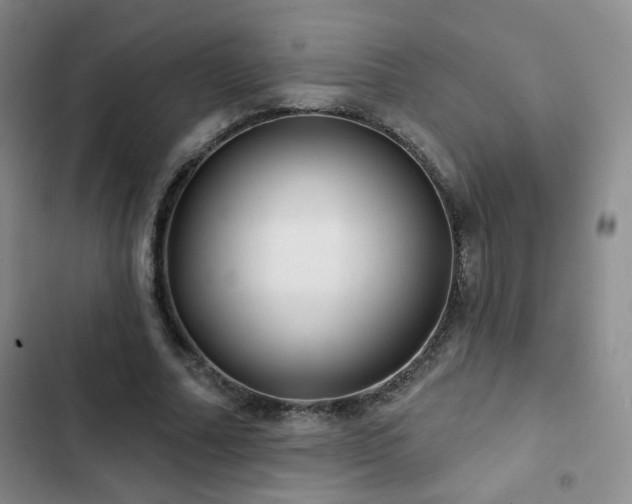 X0000103150682200808221331