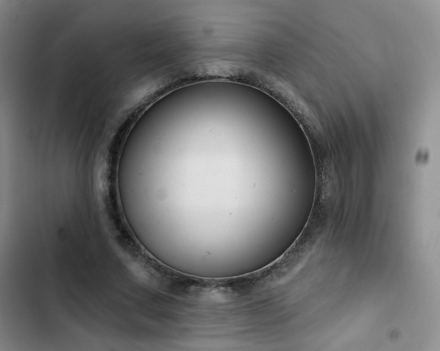 X0000103150683200808221331