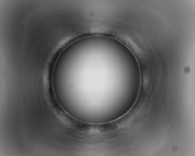 X0000103150684200808221331