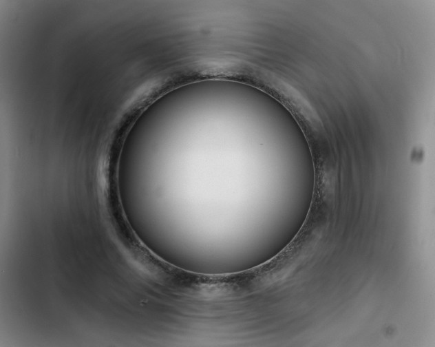 X0000103150686200808221331