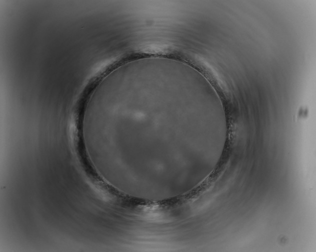 X0000103150688200808221331