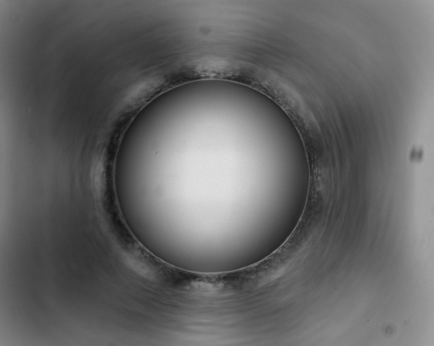X0000103150690200808221331