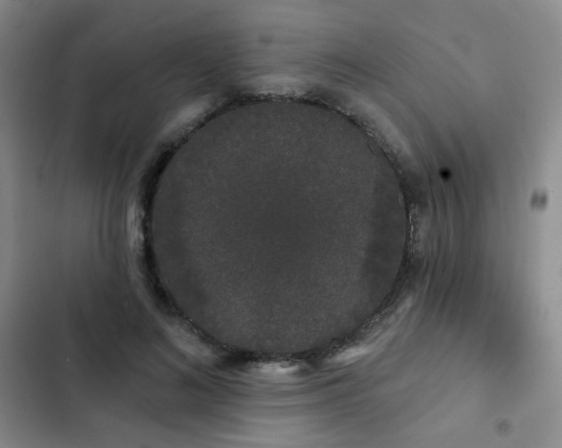 X0000103150692200808221331