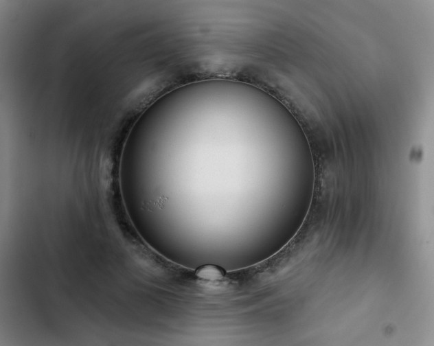 X0000103150693200808221331