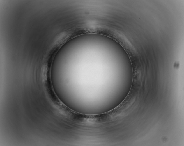 X0000103150694200808221331