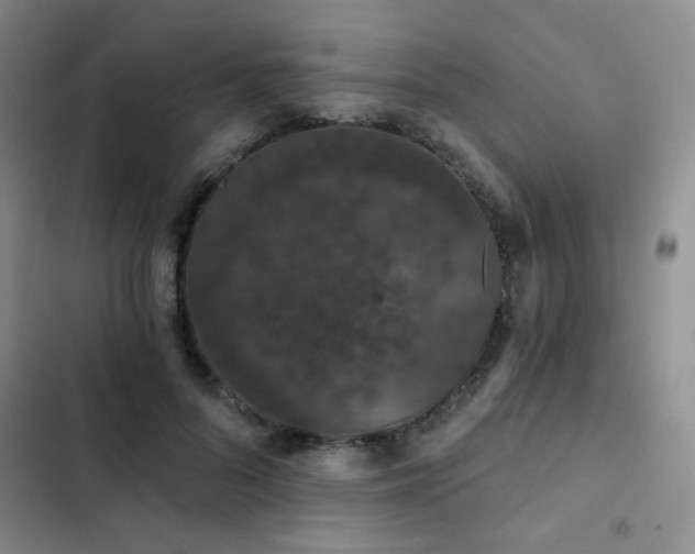 X0000103150696200808221331