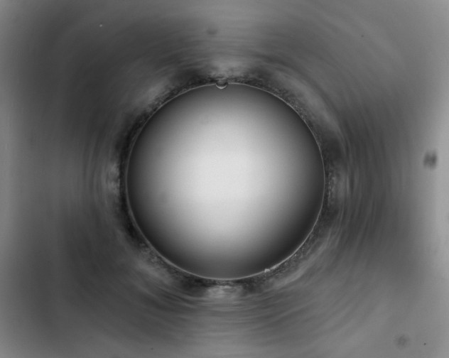 X0000103150700200808221331
