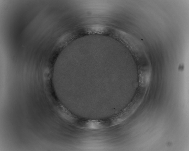 X0000103150701200808221331