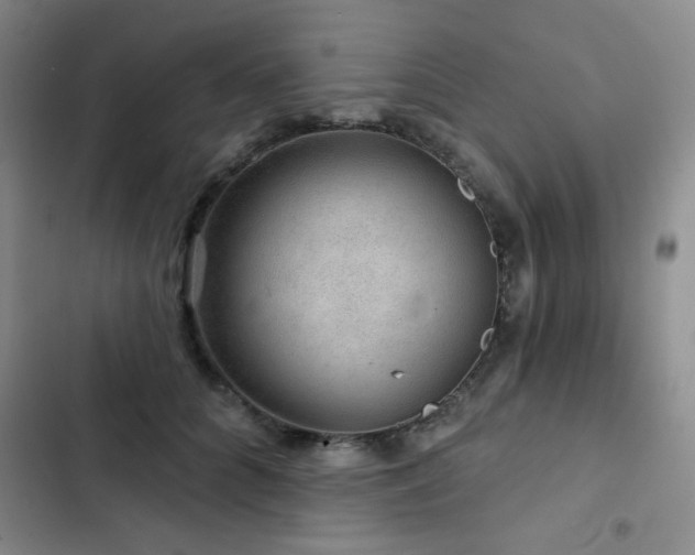 X0000103150704200808221331