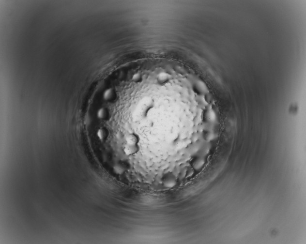 X0000103150707200808221331