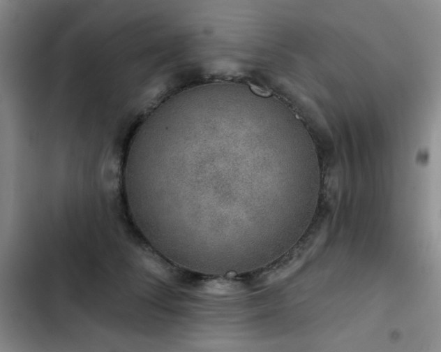 X0000103150708200808221331