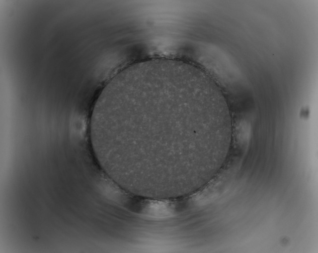 X0000103150709200808221331