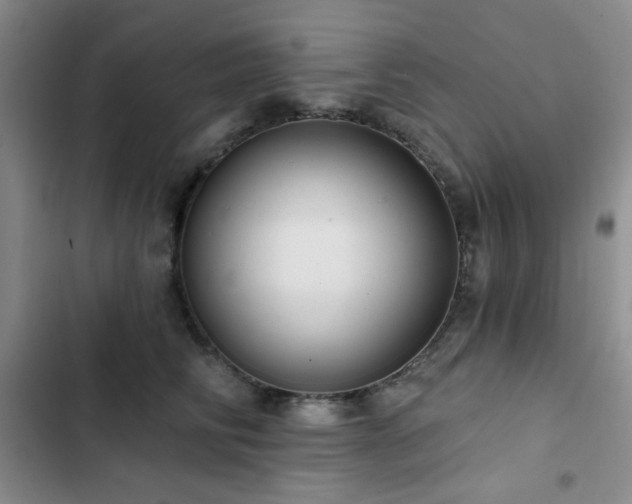 X0000103150710200808221331