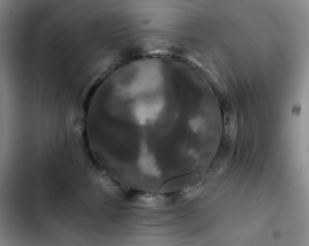 X0000103150712200808221331