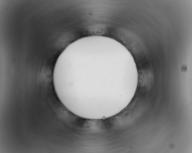 X0000103150713200808221331