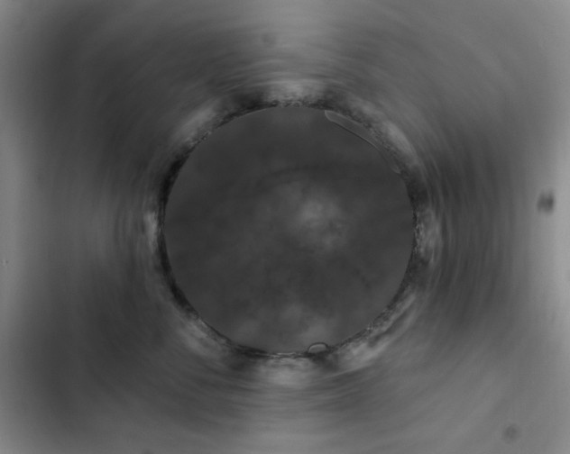 X0000103150716200808221331