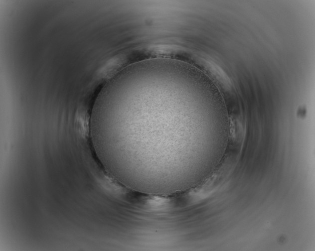 X0000103150718200808221331