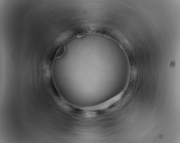 X0000103150719200808221331