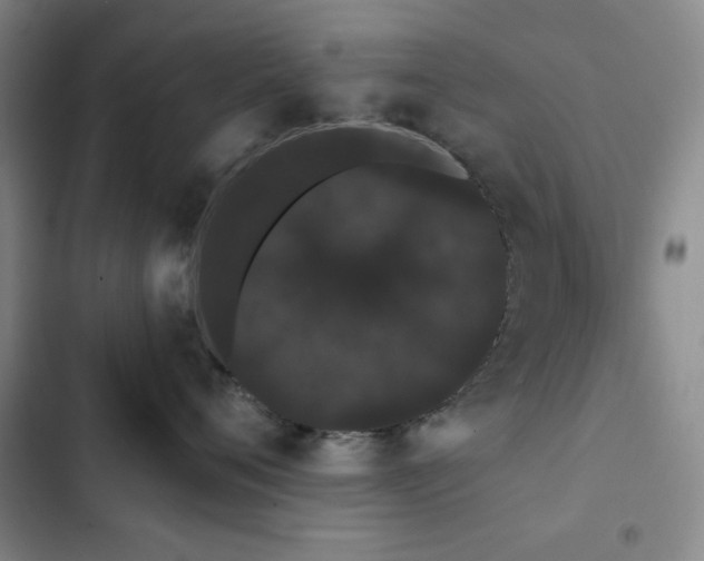 X0000103150720200808221331