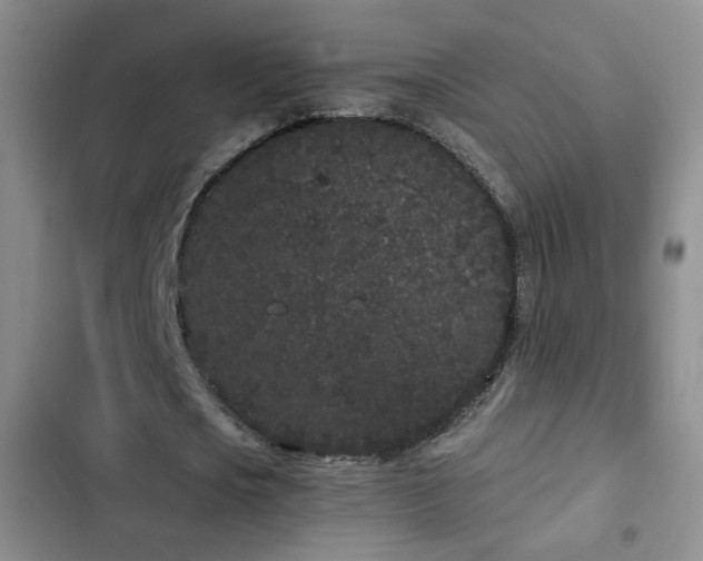 X0000103150721200808221330