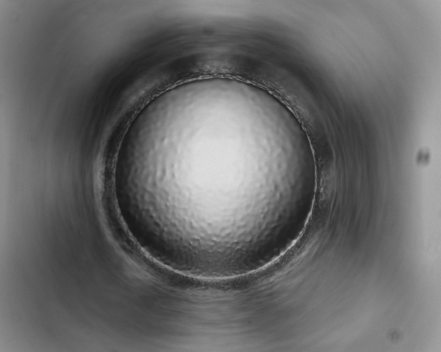 X0000103150722200808221330