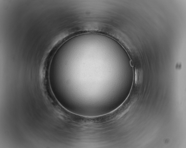 X0000103150723200808221330