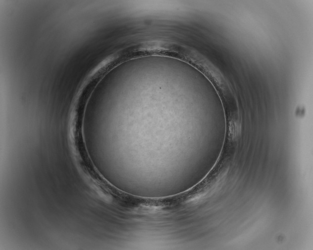 X0000103150724200808221330