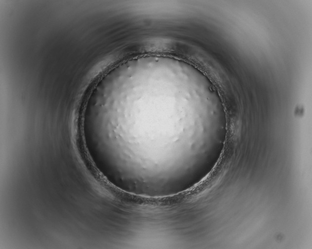 X0000103150725200808221330